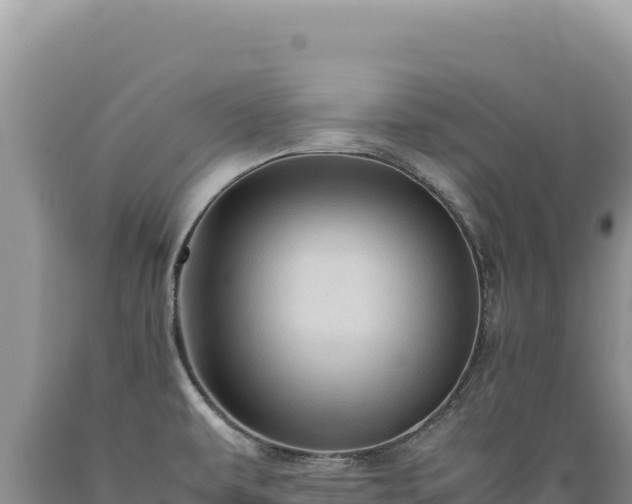 X0000089371479200706221211