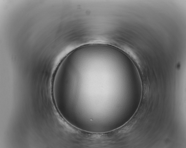 X0000089371480200706221211