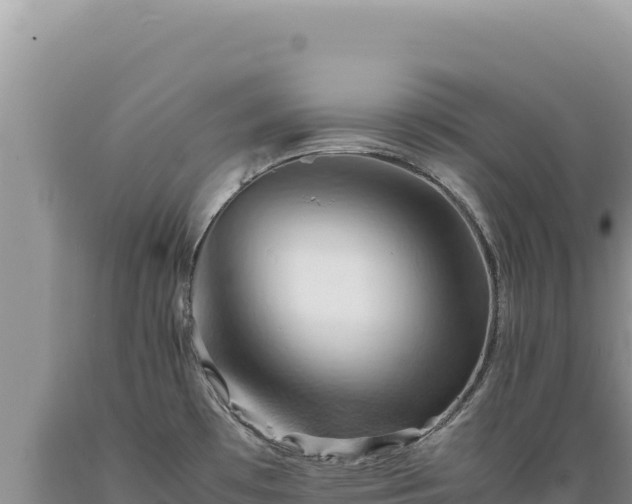 X0000089371481200706221211