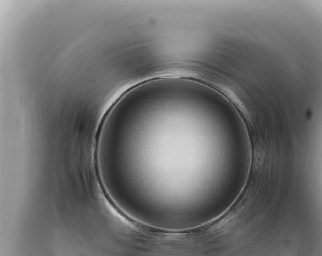 X0000089371484200706221210