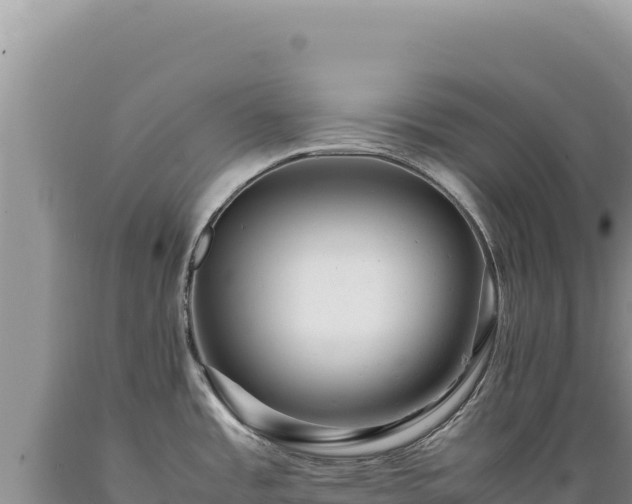 X0000089371485200706221210