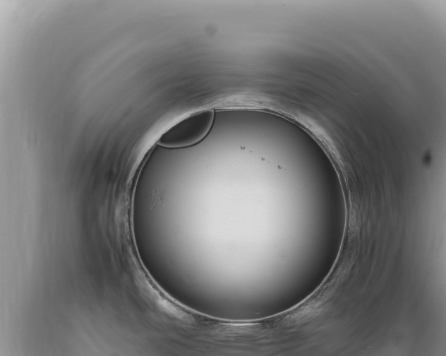 X0000089371486200706221210