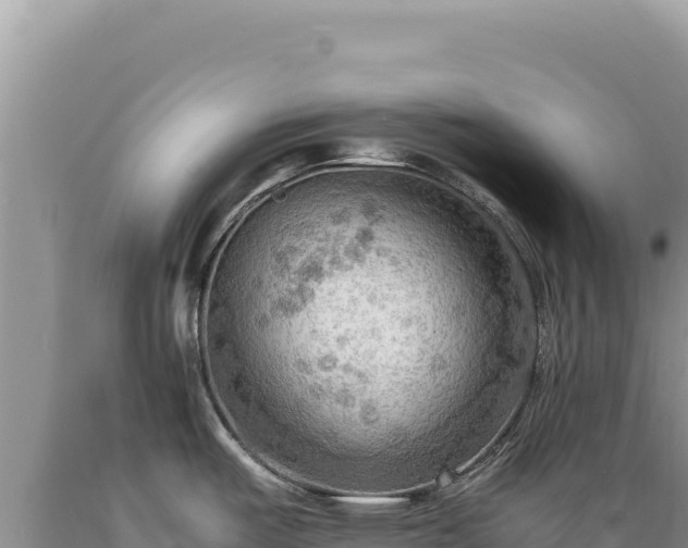 X0000089371487200706221210