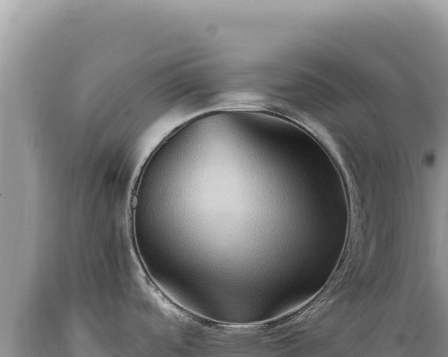 X0000089371488200706221210