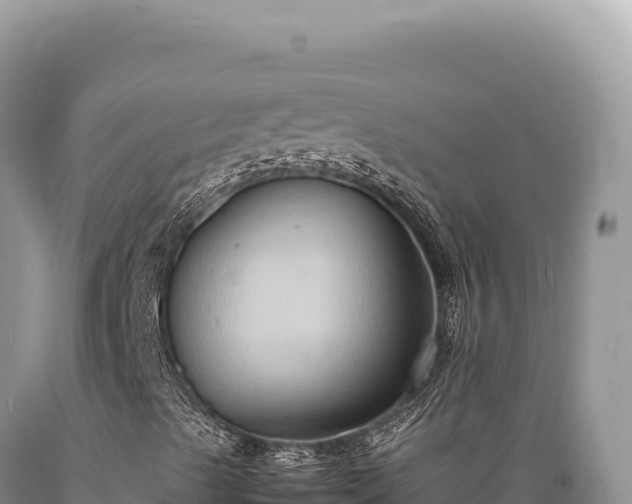 X0000089371489200706221210
