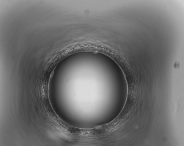 X0000089371490200706221210