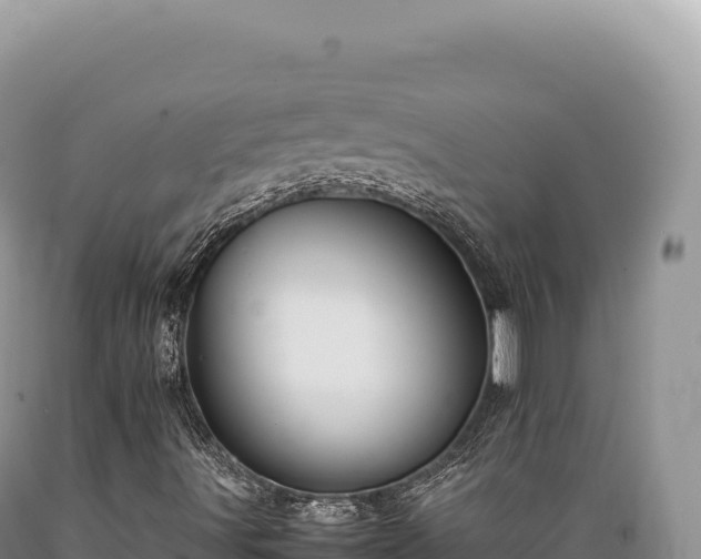 X0000089371491200706221210