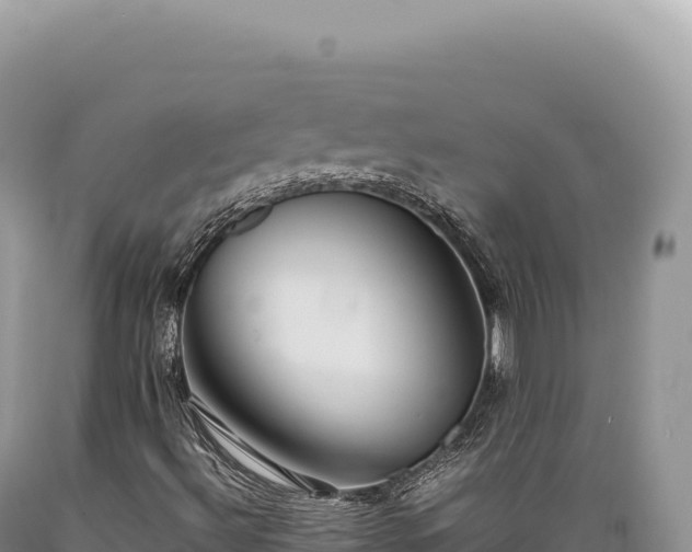X0000089371492200706221210