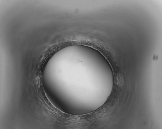 X0000089371493200706221210