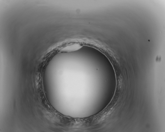 X0000089371494200706221210