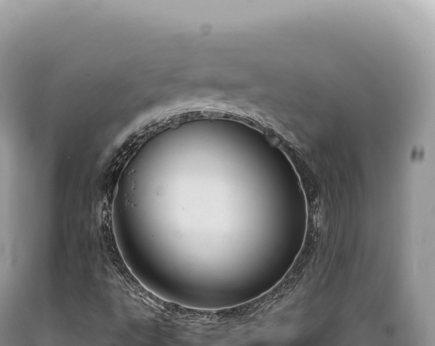 X0000089371495200706221210