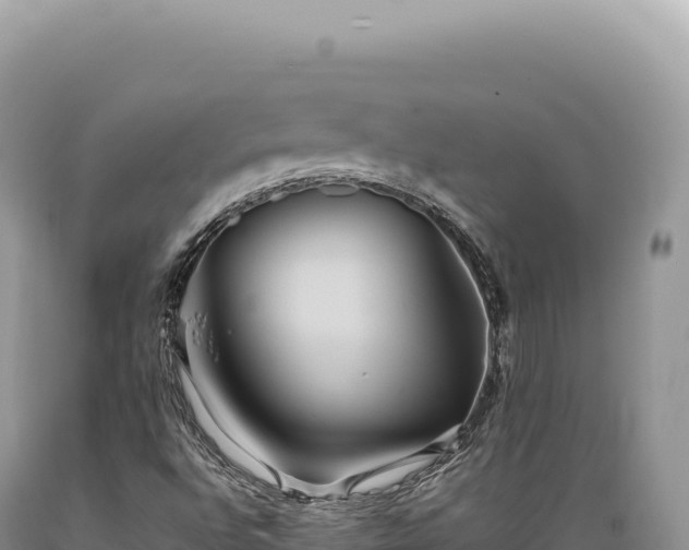 X0000089371496200706221210