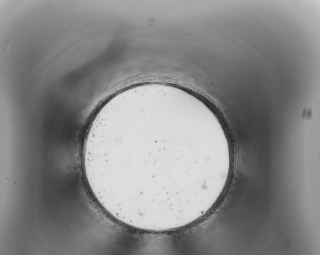 X0000089371498200706221210