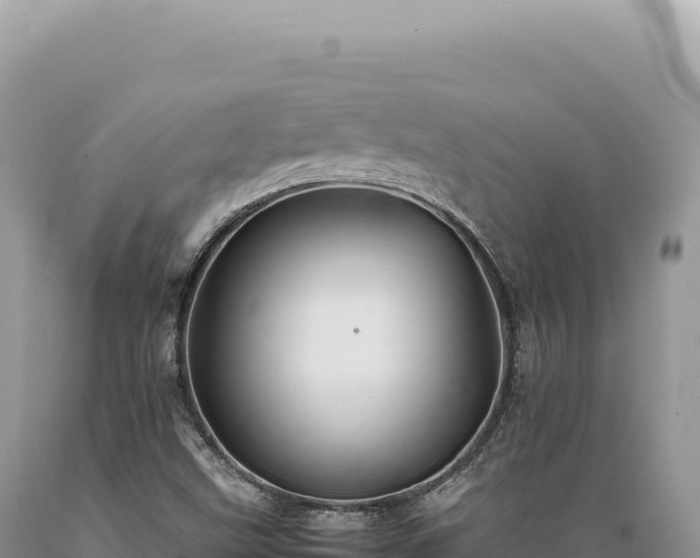 X0000089371499200706221210