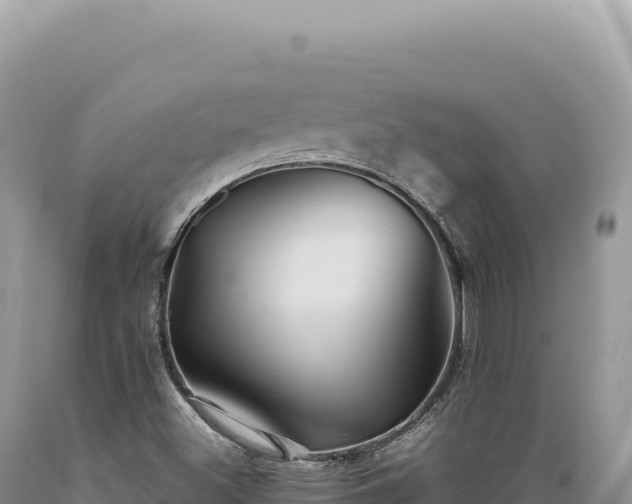 X0000089371500200706221210