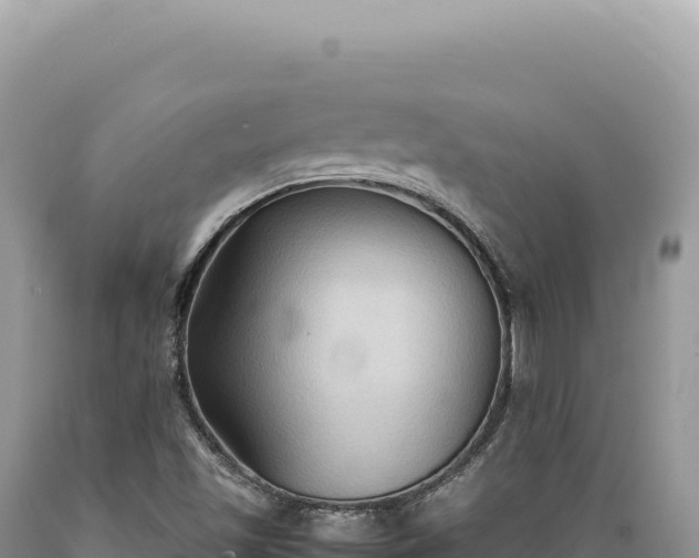 X0000089371501200706221210