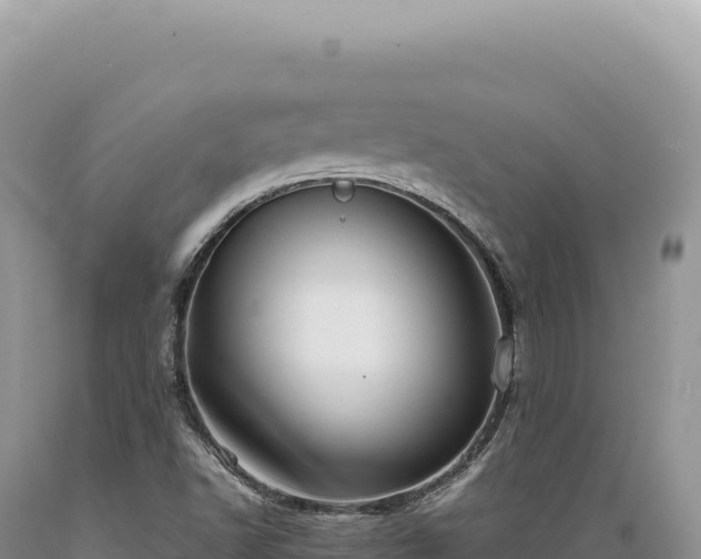 X0000089371502200706221210