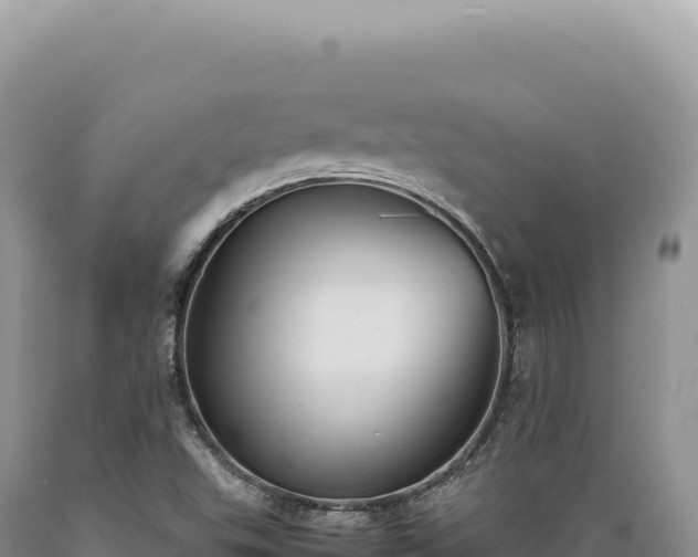 X0000089371503200706221210
