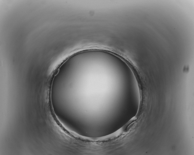 X0000089371504200706221210