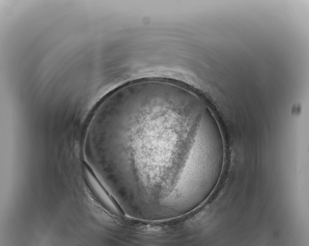 X0000089371505200706221210