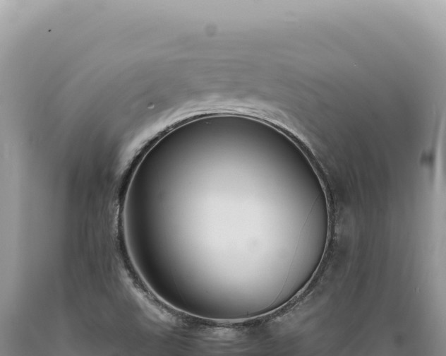 X0000089371507200706221210