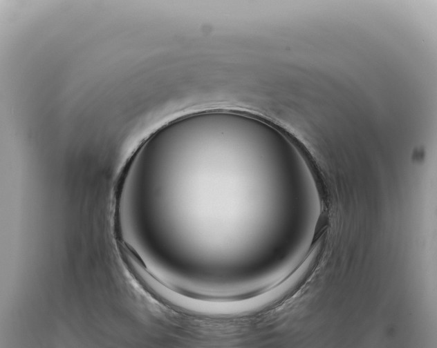 X0000089371508200706221210