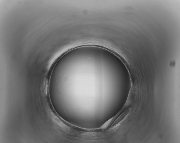 X0000089371510200706221210