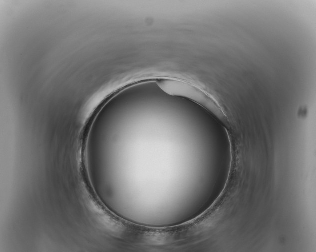 X0000089371511200706221210