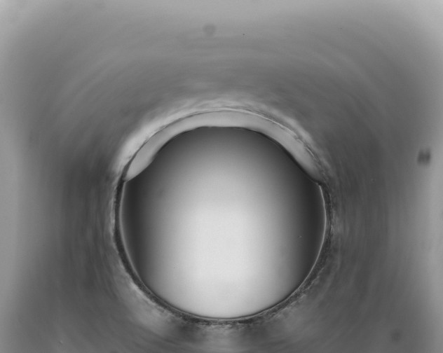 X0000089371512200706221210