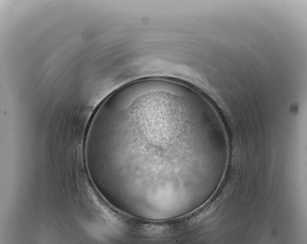 X0000089371513200706221210