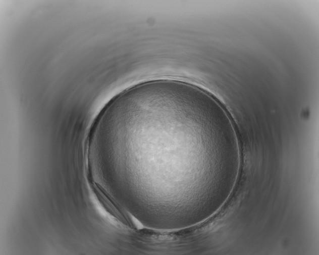 X0000089371515200706221210