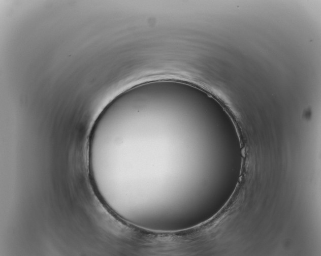 X0000089371516200706221210