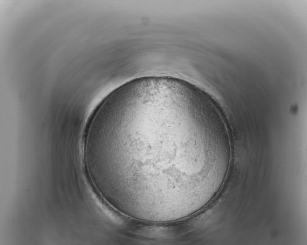 X0000089371517200706221210
