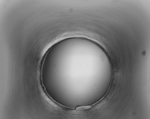 X0000089371518200706221210
