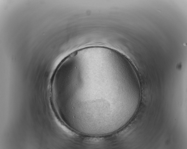 X0000089371519200706221210