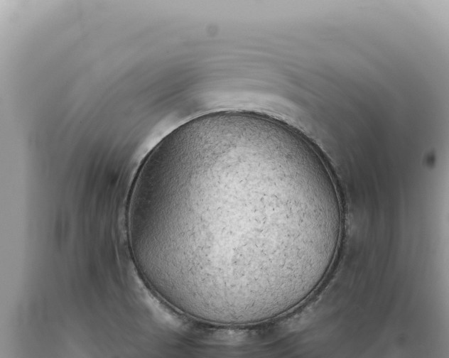 X0000089371521200706221210