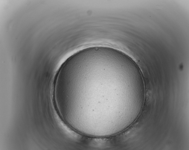 X0000089371523200706221210