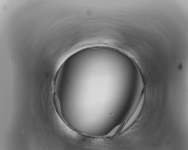 X0000089371524200706221210