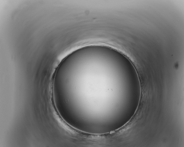 X0000089371526200706221210