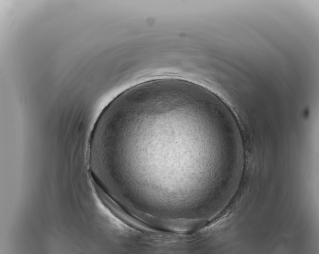 X0000089371527200706221210