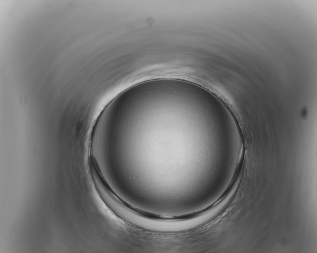 X0000089371528200706221210
