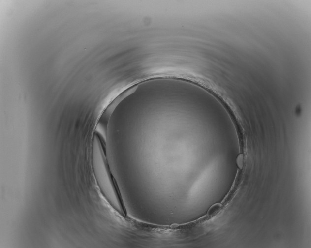 X0000089371529200706221210