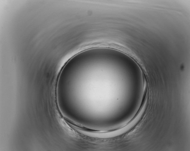 X0000089371530200706221210