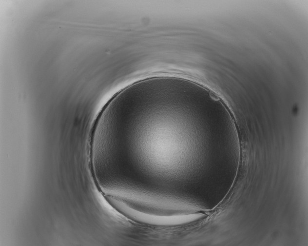 X0000089371531200706221210