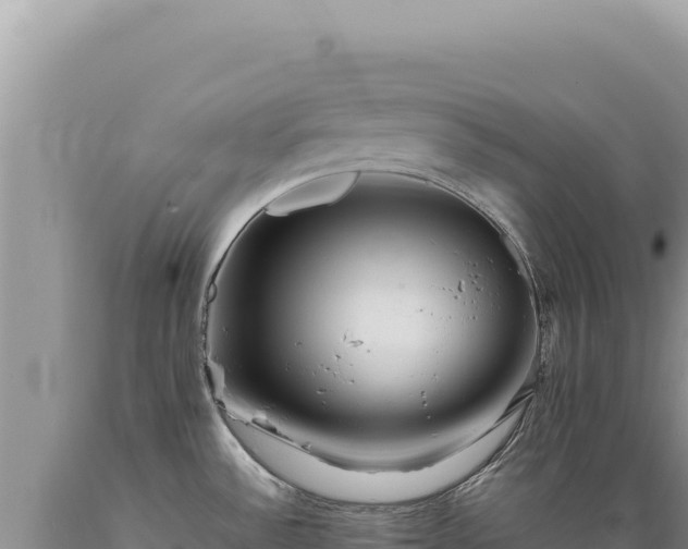 X0000089371532200706221210