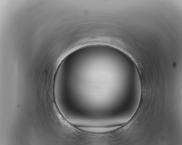 X0000089371534200706221210