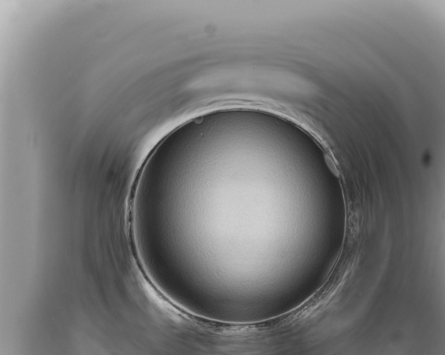 X0000089371535200706221210