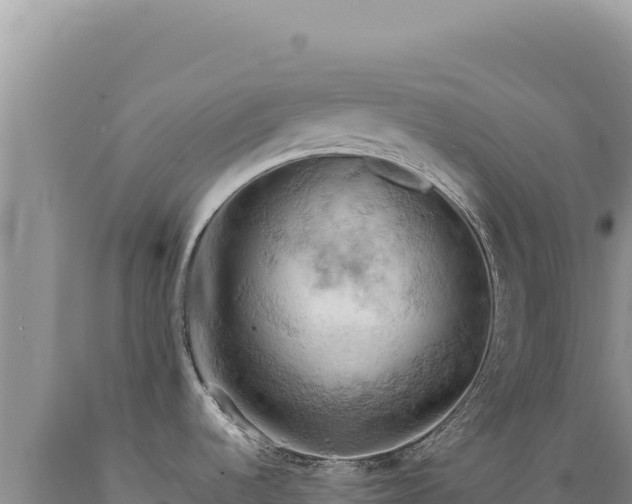 X0000089371536200706221210