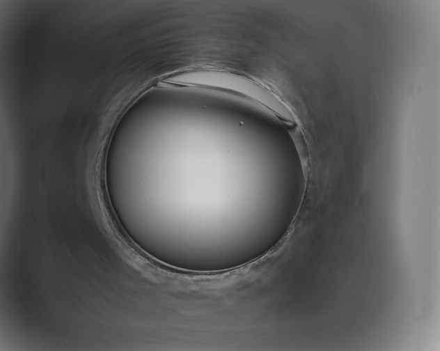 X0000089370001200706291255