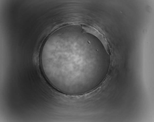 X0000089370002200706291255